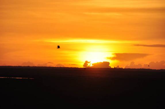 O fantástico entardecer no Hato El Cedral, na região dos llanos venezuelanos, perto da cidade de Mantecal